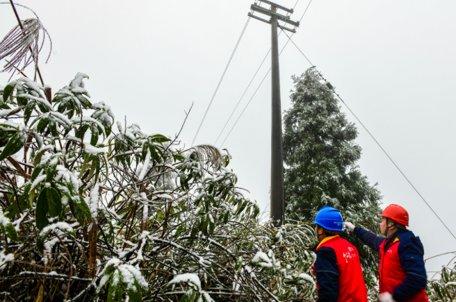 清除覆冰雪树障 江津区供电公司迎战寒潮保供电